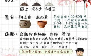 彼岸花冬天种植方法是什么？