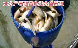 什么是鱼类增养殖业