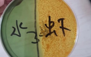 水产养殖弧菌测试标准有何新变化？