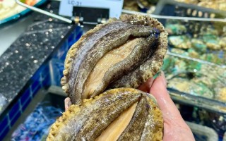 南宁鲍鱼价格是多少