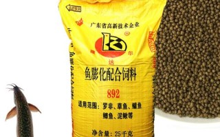 黑龙江泥鳅用什么饲料