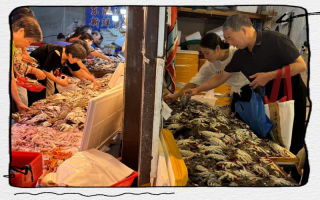 温州水产批发市场图片里藏着什么？