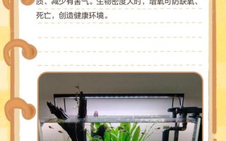 水产养殖纯氧如何正确使用？