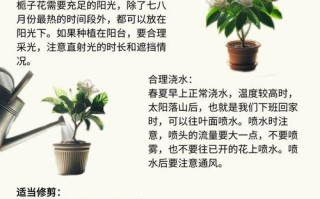 栀子花室内养不好？关键方法在这！