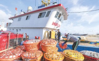 福清东威水产2025有何规划？