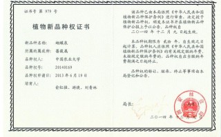 华康一号鳜鱼新品种证书有何优势？