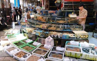 广州水产品批发市场有何特色与优势？