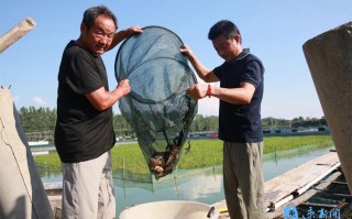 泗阳水产养殖规模与特色如何？