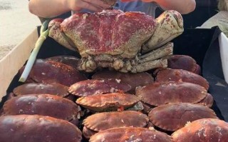 天津水产公司的面包蟹有何特色？