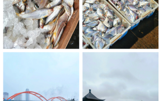 舟山国际水产城具体关门时间是什么时候？