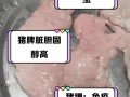 猪饲料中最难消化的是什么