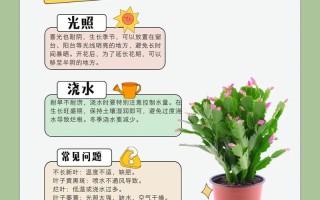 蟹爪兰水培扦插怎么活？