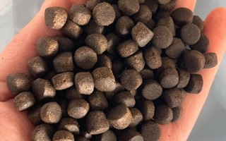 草鱼喂什么饲料最好