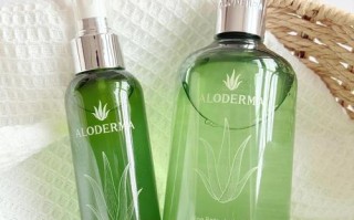 芦荟哪个品种美容效果好