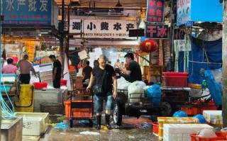 杭州最大水产批发市场在哪里？