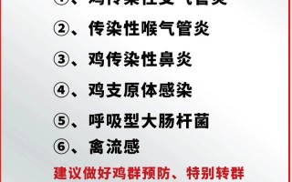 养鸡常见病如何有效治疗？
