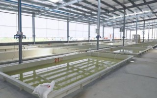 中国水产繁殖技术有何突破与挑战？