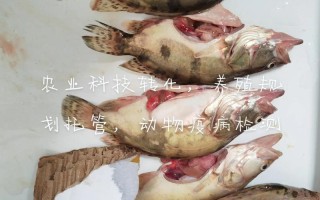 广东水产鱼类检测超标，哪些鱼超标了？