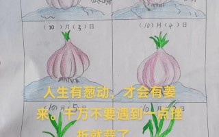 新手如何简单种大蒜？