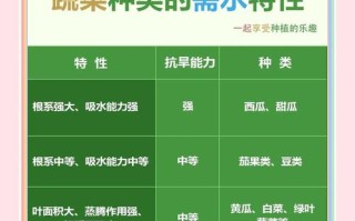 大白菜浇水有哪些正确方法？