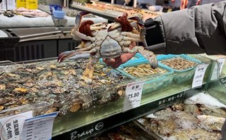 水产店利润究竟如何？