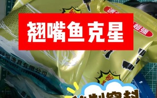 养翘嘴?用什么饲料