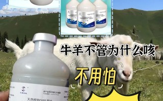 羊病有哪些有效的治疗方法？