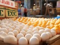 今天的鸡蛋价格多少