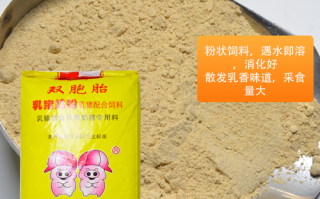 育肥猪喂什么饲料