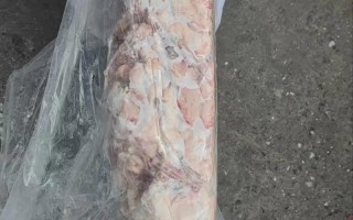 羊子宫的价格多少