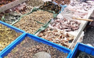 南昌水产龙虾批发市场在哪？价格多少？