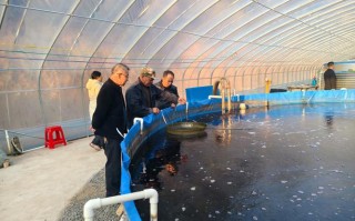 北方水产养殖什么时候是旺季