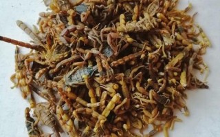 蝎蚣胶囊多少价格啊