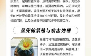 兜多肉多久浇一次水？