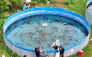 南宁水产养殖公司如何赋能农户？