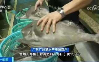 广州黄沙水产价格图片最新行情如何？