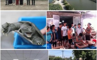 嘉善水产养殖主产区在哪？