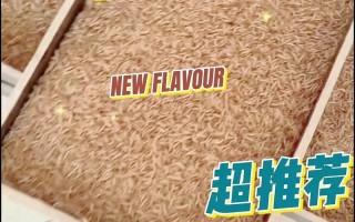 黄粉虫可做为什么饲料