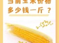 吉东28玉米种价格多少？