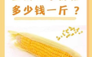 吉东28玉米种价格多少？