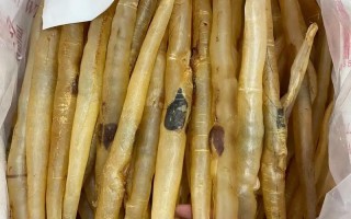 鳗鱼养殖一般都用什么水产药