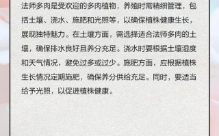 法师赤霞飞怎么养？