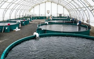 广东水产养殖技术有何创新与优势？