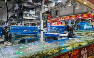 上海最大水产批发市场在哪？