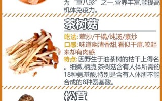 10种食用菌品种有何特点与差异？