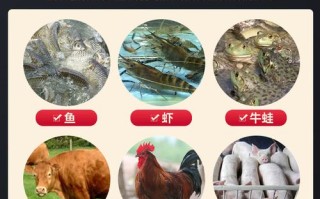 为何盐酸恩诺沙星被水产禁用？