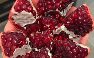 软软籽石榴品种有哪些？