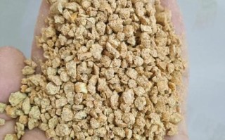 鸡饲料过盛产什么蛋