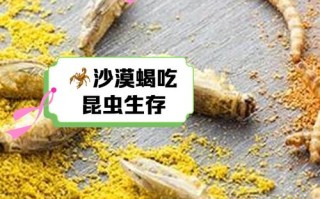蝎子喂养吃什么饲料