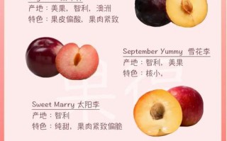 常见李子品种有哪些？